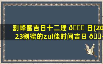 割蜂蜜吉日十二建 🕊 日(2023割蜜的zui
佳时间吉日 🌷 )